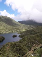 Freshwater Lake Trail