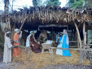 Presepe di Corgnolo ( Porpetto)