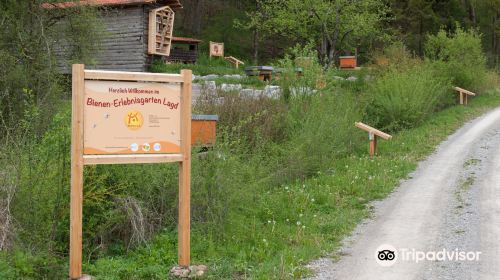 Bienen- Erlebnisgarten Lagd