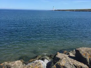 Montrose Beach