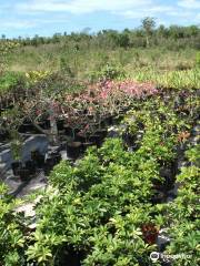 Eleuthera Island Farm