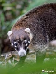 Werner Sauter Biological Reserve