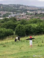 Bath City Farm