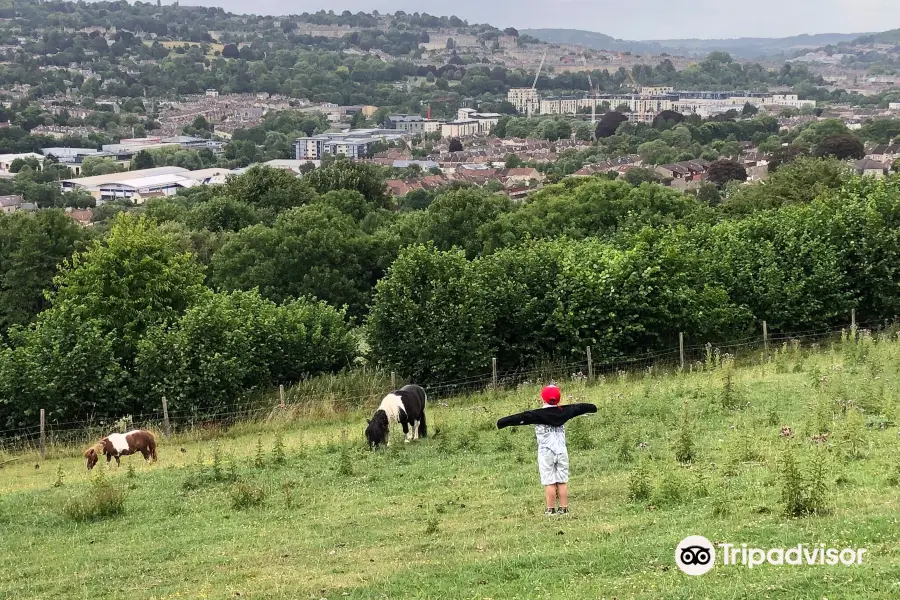 Bath City Farm