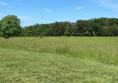 Manassas National Battlefield Park