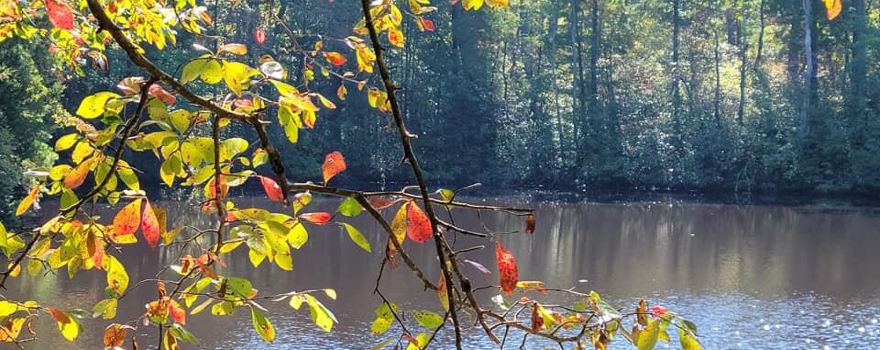 Woodford Cedar Run Wildlife Refuge