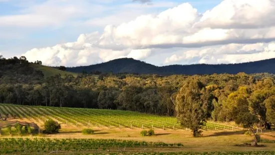 Grape Farm Winery