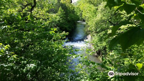 Kankakee River State Park