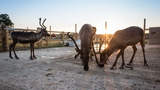 Hogshaw Farm & Wildlife Park