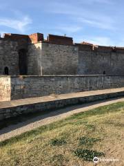 Fortezza di Baba Vida