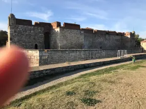 Fortezza di Baba Vida