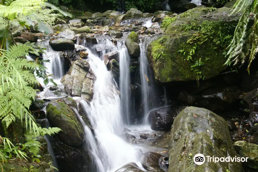 Wufengqi Waterfall