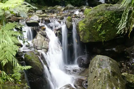 鄰近五峰旗瀑布的酒店