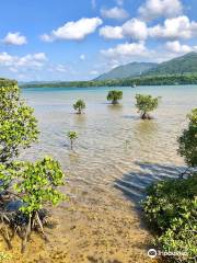 Ishigaki Island Science Garden