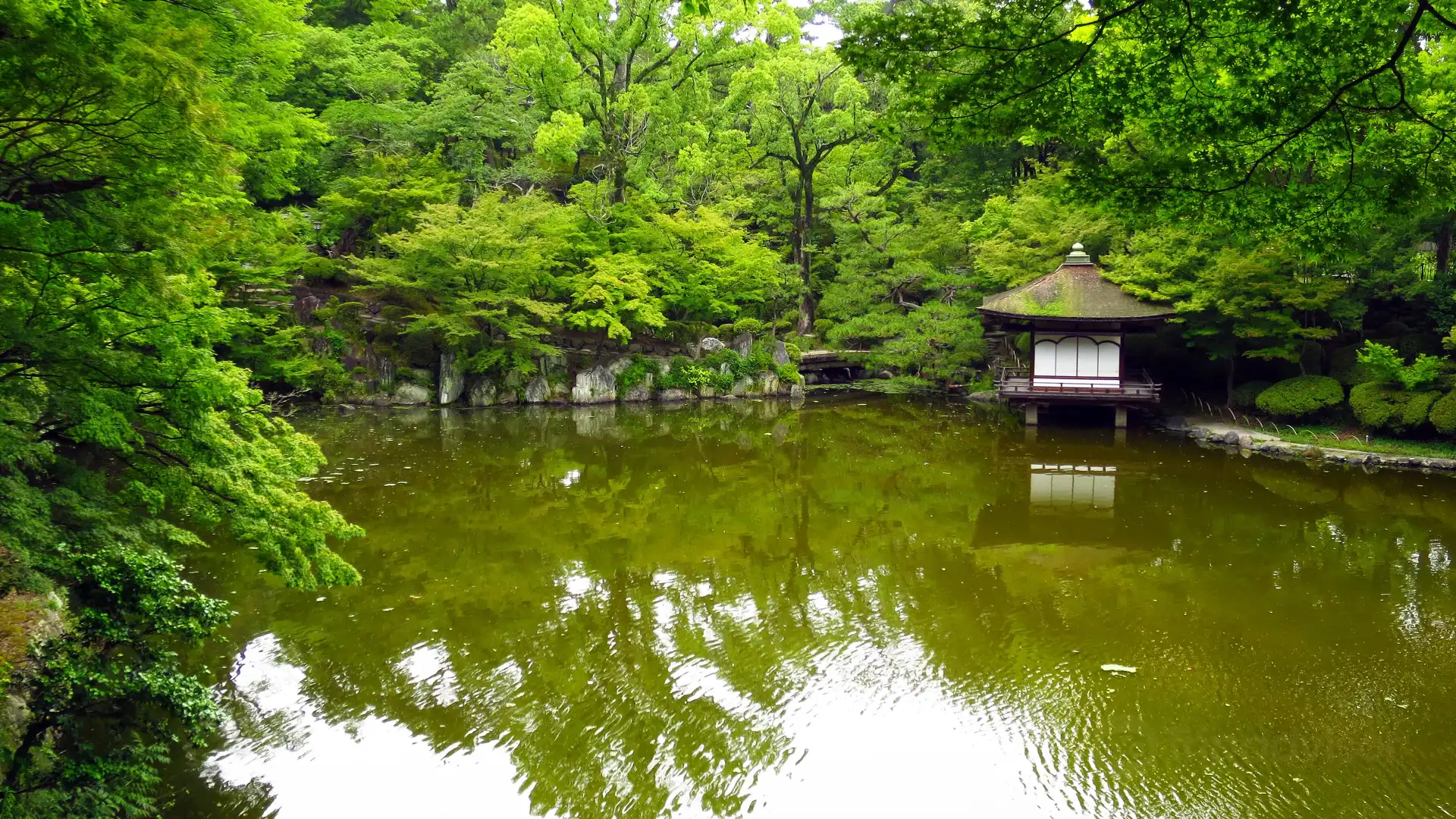 Hotels near Momijidani Garden