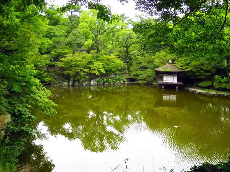 Hotels near Momijidani Garden