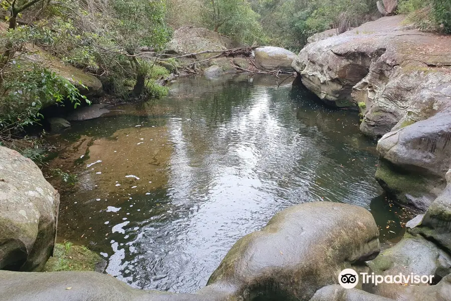 Berowra Valley National Park