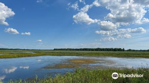 Montezuma National Wildlife Refuge