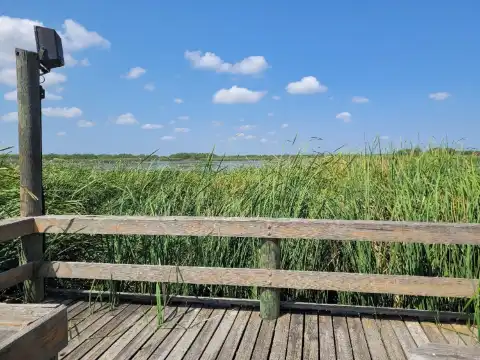 Hotels in Live Oak County