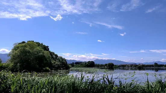 瓢湖水きん公園