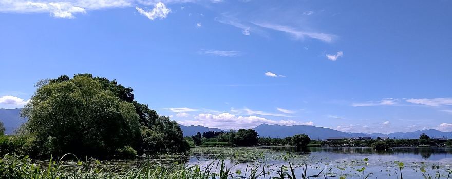 Hyokosuikin Park