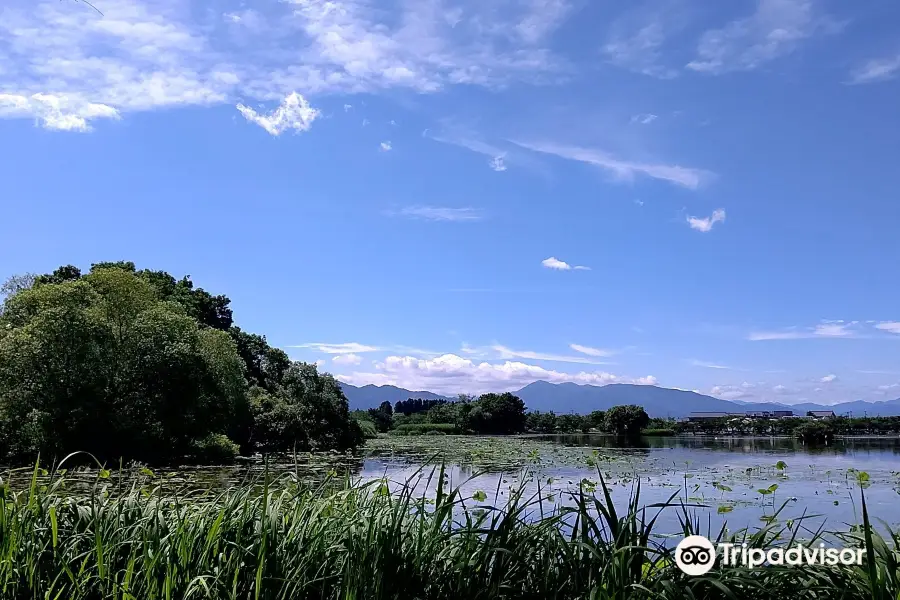 瓢湖水きん公園