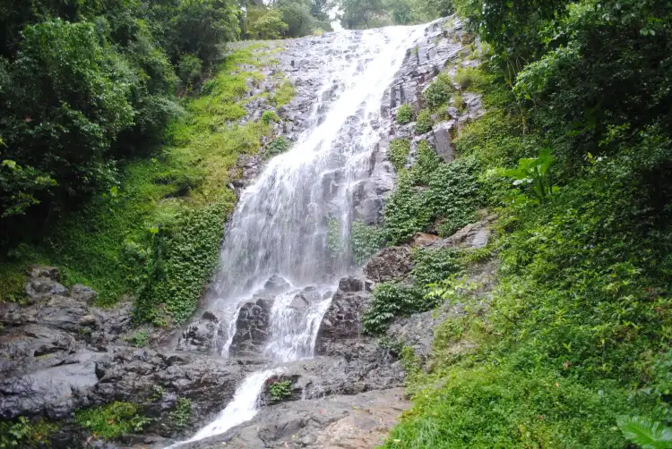 Hotels in Dorrigo Mountain