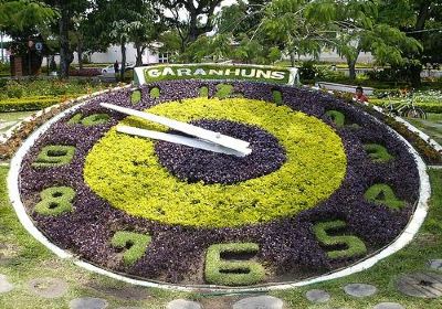 Flower Clock