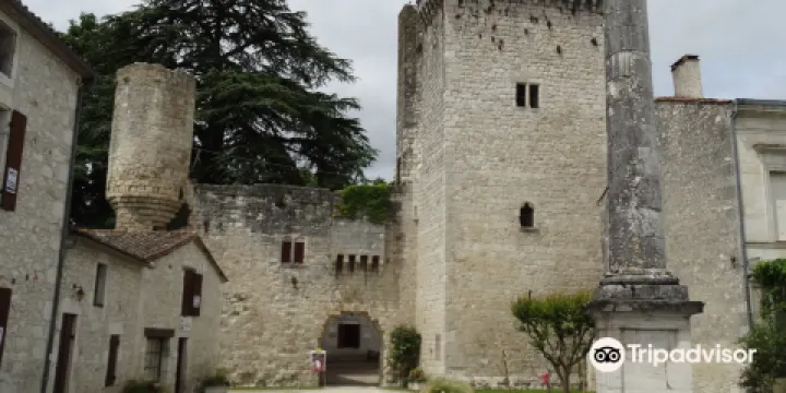 Chateau d'Eymet