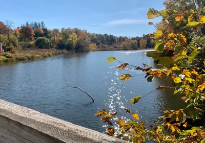 Pulp Mill Covered Bridge