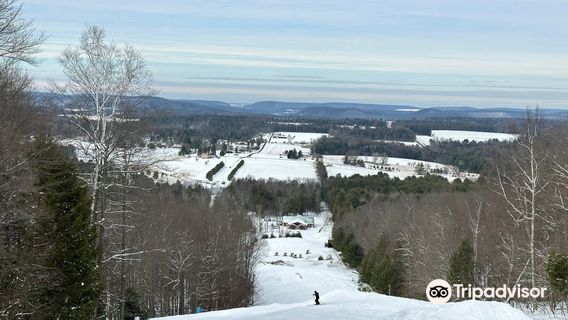 Bristol Mountain Ski Resort