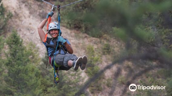 Valley Zipline Adventures