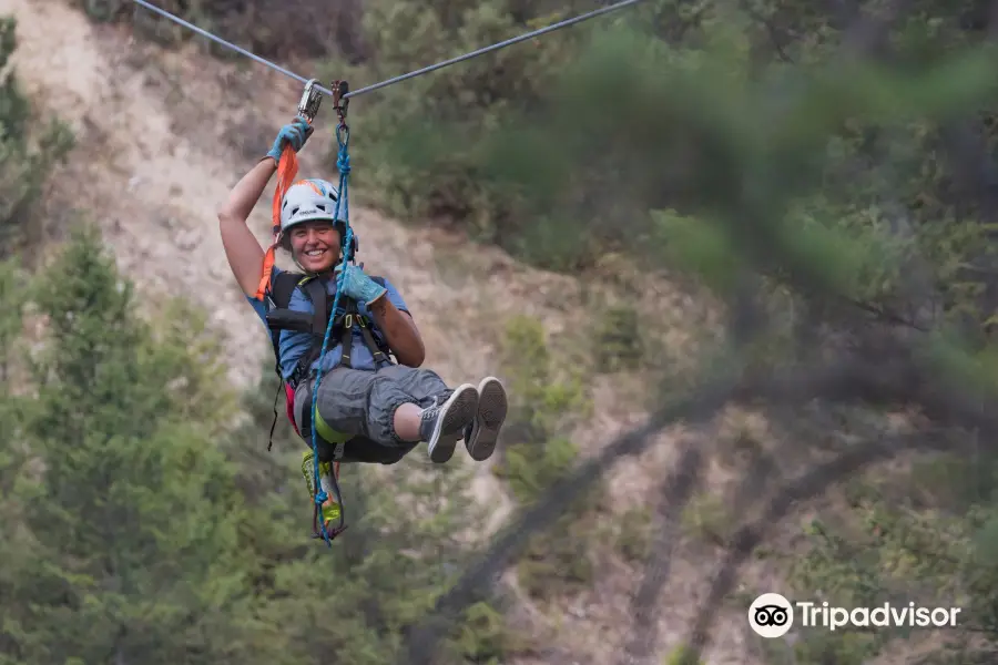 Valley Zipline Adventures