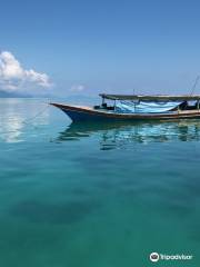 Borneo Speedy Dive