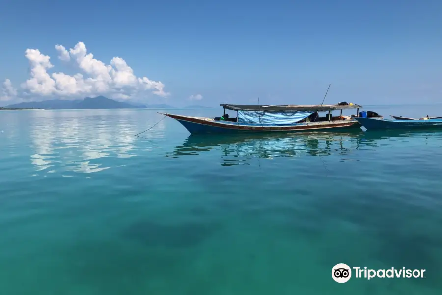 Borneo Speedy Dive