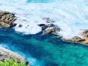 Bermagui Blue Pool