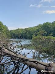 Harrison Bay State Park