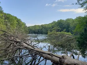 Harrison Bay State Park