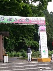 Hasegawa-botan-en peony garden