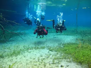 Diving Center Amfora