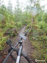 Cumberland Forest Mountain Bike Trails