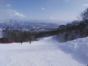 妙高杉原滑雪場