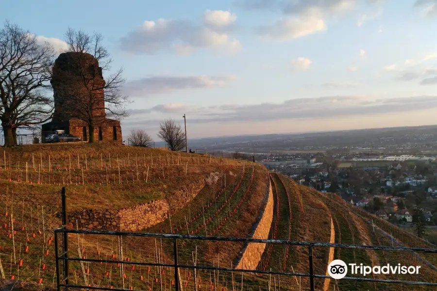 Bismarckturm