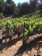 Trillium Creek Winery