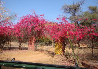 Distrito de Sawai Madhopur