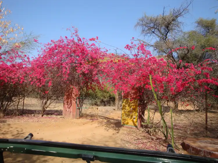 Distrito de Sawai Madhopur