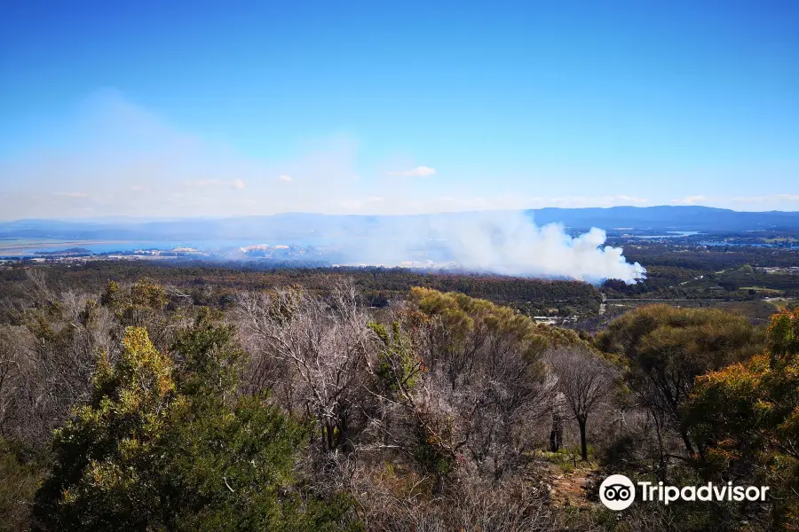 Mt George Lookout