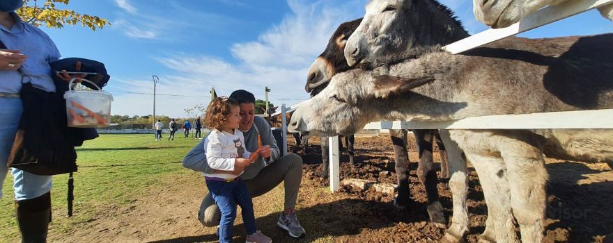 Burrolandia