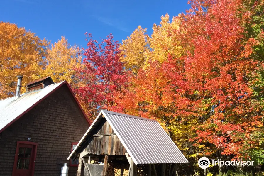 Cabane a Sucre L'Entailleur