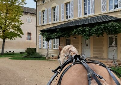 Haras National de Cluny